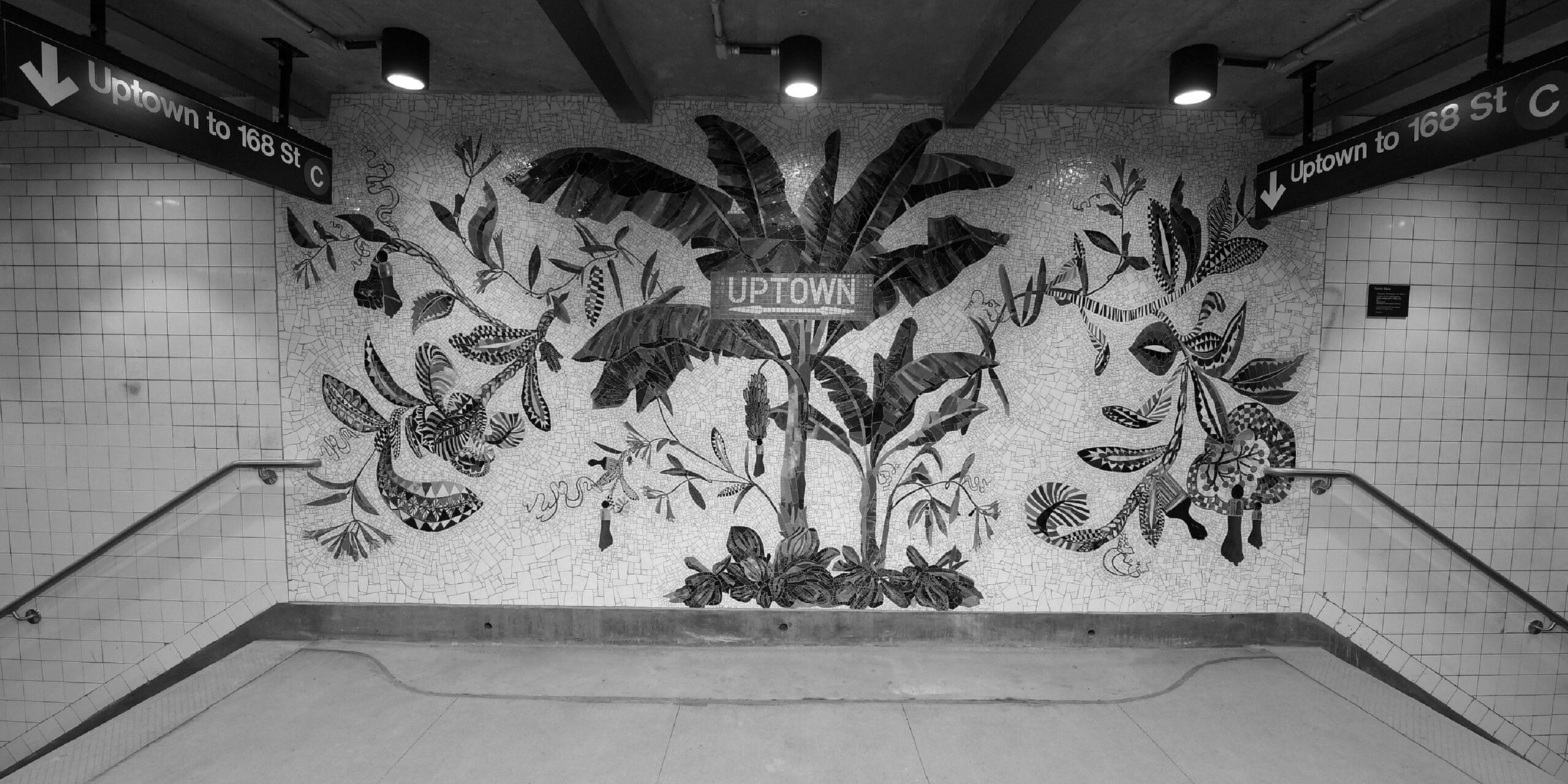 Art Along the C Train: An Underground Art Tour with Sylvia Lauden