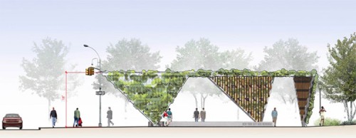 The evergreen ivy for the memorial will rise 18 feet above the sidewalk. 