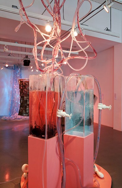 Viscerasytem, installation art by Alison Petty Raguette. (Kenneth Johansson)