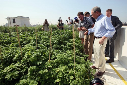 Mayor Bloomberg, Department of Environmental Protection Commissioner Strickland, Brooklyn Navy Yard Development Corporation CEO Kimball and Brooklyn Grange CEO Ben Flanner today toured the largest rooftop farm in New York City. (Edward Reed)