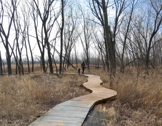 SCAPE WORKED WITH STUDIO GANG ON THE FORD CALUMET ENVIRONMENTAL CENTER IN CALUMET, ILLINOIS. (Courtesy SCAPE)