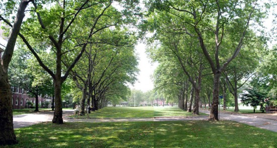 Colonels' Row on Governors Island (Courtesy of the Trust for Governors Island)