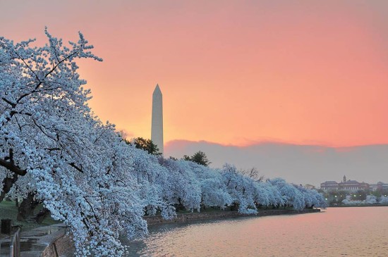 Washington Monument in the spring. (George Brett / Flickr)