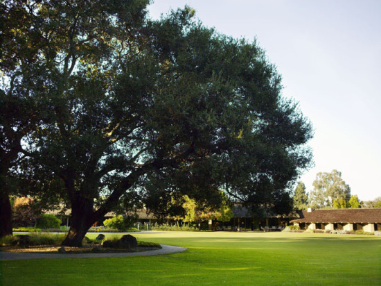 Large trees and an expansive lawn (Thomas J. Story/ Sunset Publishing) 