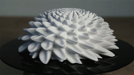The petals appear to seethe up and down (Courtesy Instructables)
