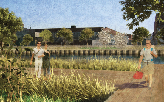 Rendering of Gowanus Canal Sponge Park (Courtesy dlandstudio)