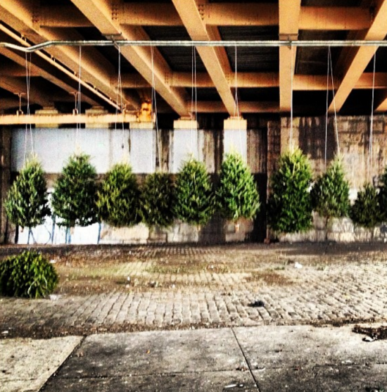 Suspended Forest under the BQE in 2013 (marymajella / Instagram)