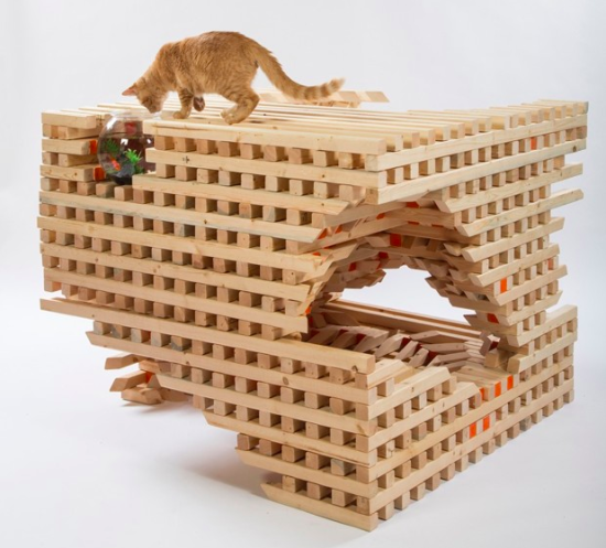 Animal Architecture - Cat House by HOK, Meghan Bob: Architects for Animals, via CityLab