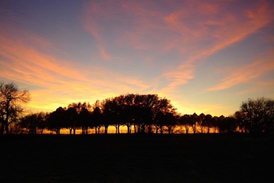 Sunset on an Austin, Texas cemetery (Andreanna Moya Photography via Flickr Creative Commons