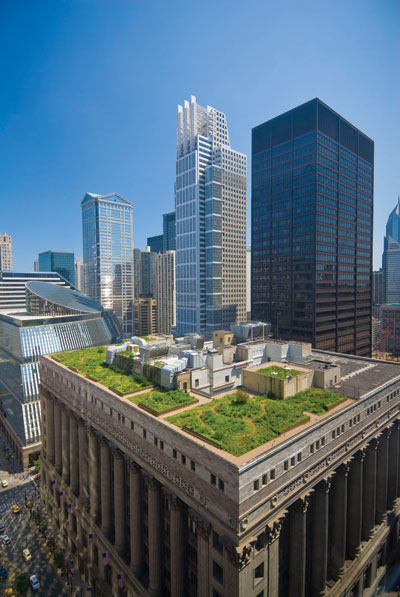 Green roof on Chicago's City Hall.