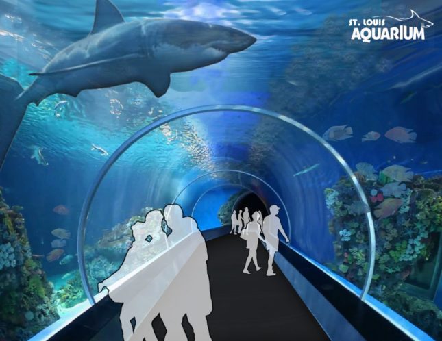St. Louis Union Station Aquarium