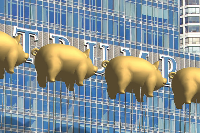 Trump Chicago Gold Pigs