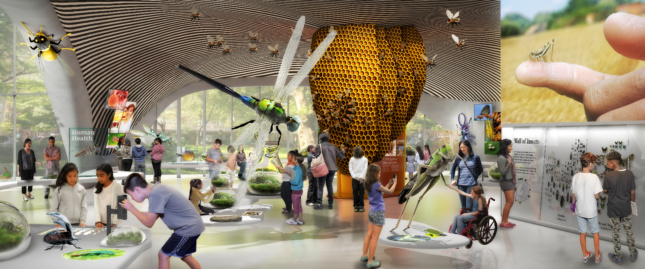 A rendering of the Insectarium on the first floor of the Gilder Center, a place for family and general learning as well as for structured school visits by groups from every grade. The new facility will feature live insects, collections of insect specimens, scientific tools used for conducting research, exhibits, and digital displays. Courtesy of Ralph Appelbaum Associates