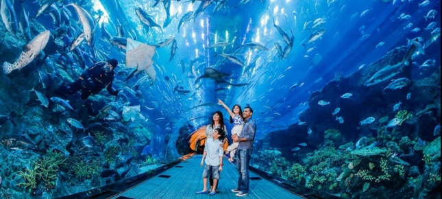 The mall will also feature a 35,000-square-foot aquarium, and a Legoland.