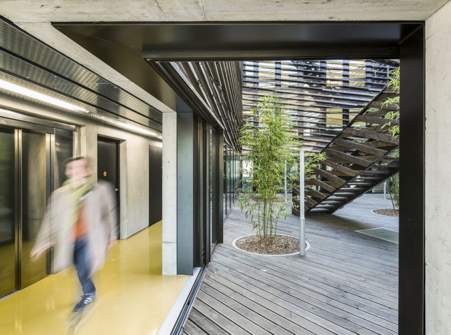 A view of where the wood clad courtyard meets the interior
