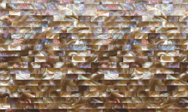 Photo of mother-of-pearl tile