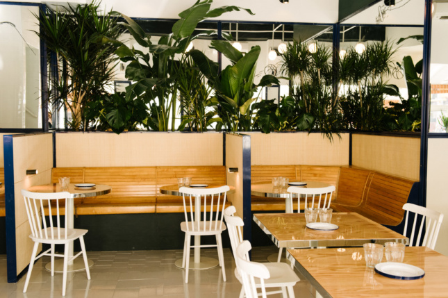 Savvy placed mirrors along walls and large plants throughout the restaurant to enhance the size of the space and add a touch of nature.