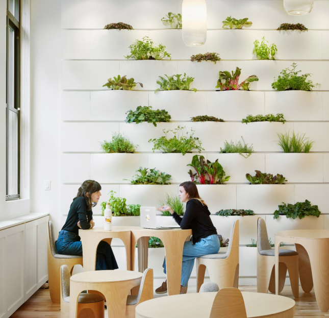 One of the learning stations features a modular greenwall containing edible plants, including lavender and mint.