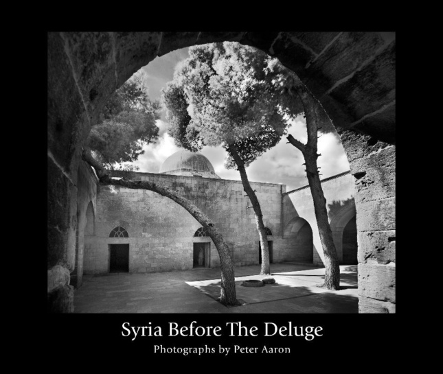 The cover of Syria Before the Deluge 