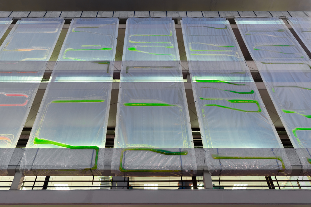 Algae carbon capture facade