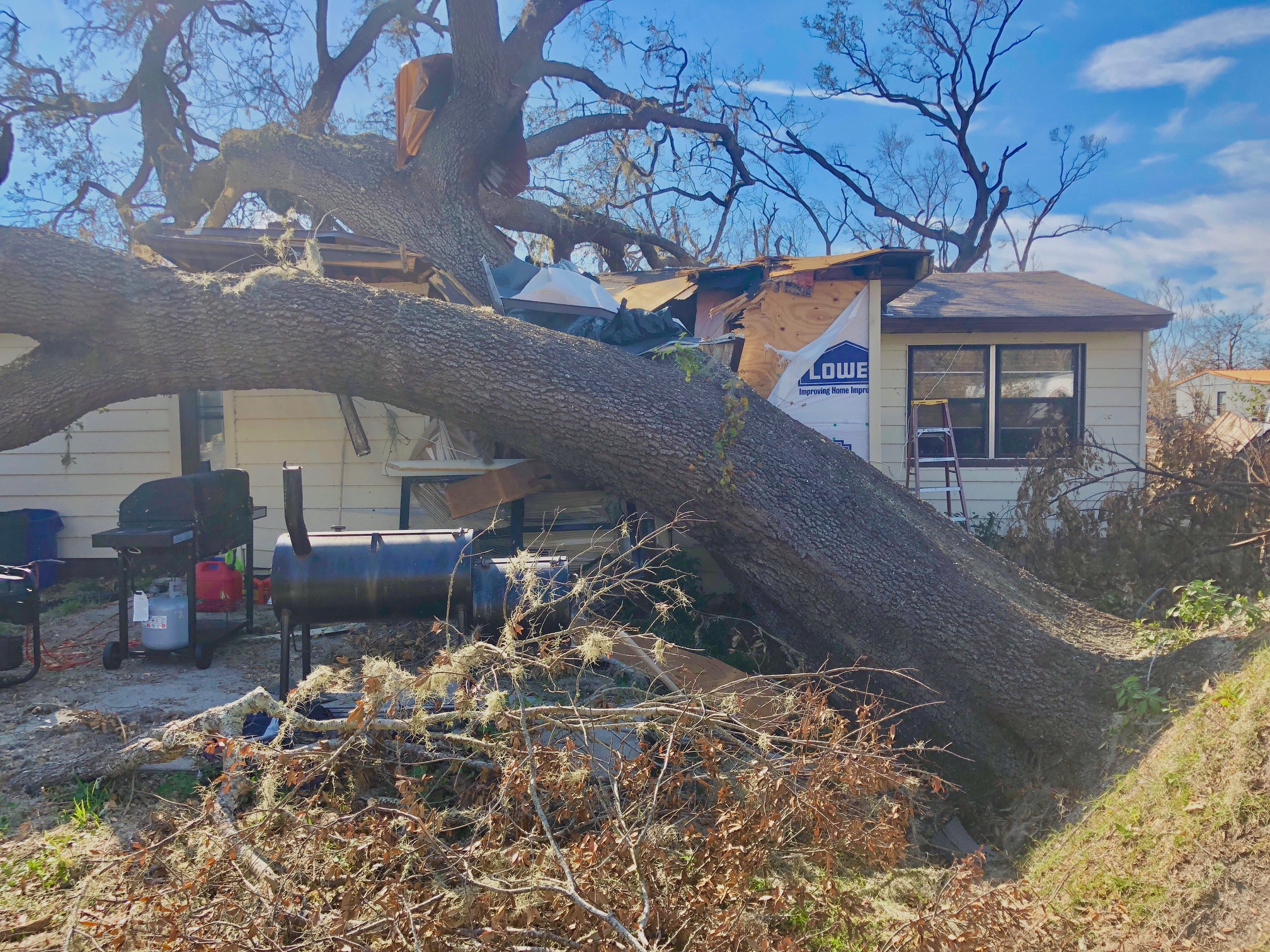 Photo of oak tree fallen on house