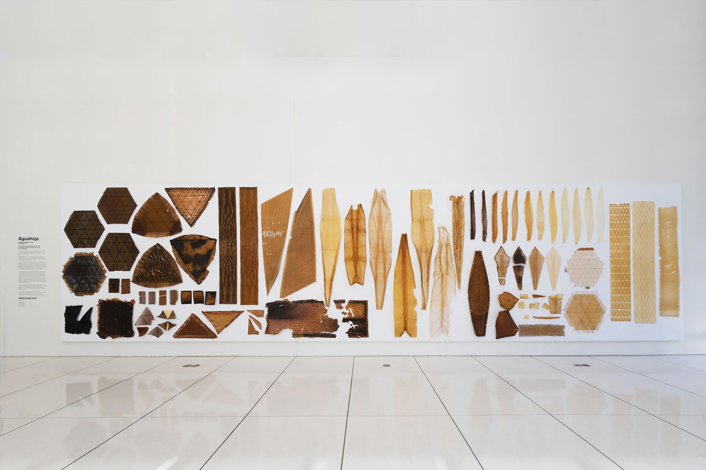 Photo of a museum installation of wood forms