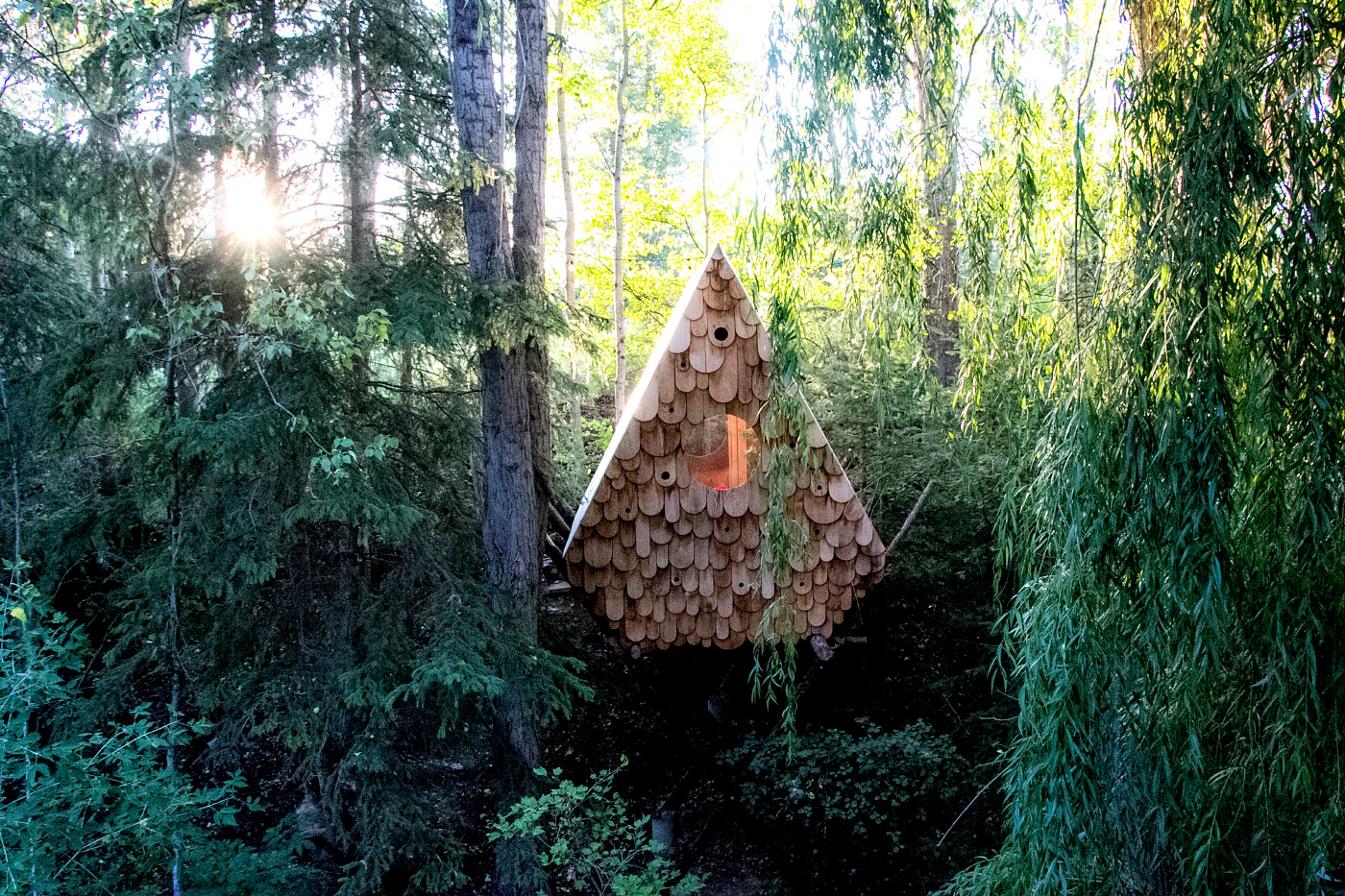 Photo of an A-frame treehouse