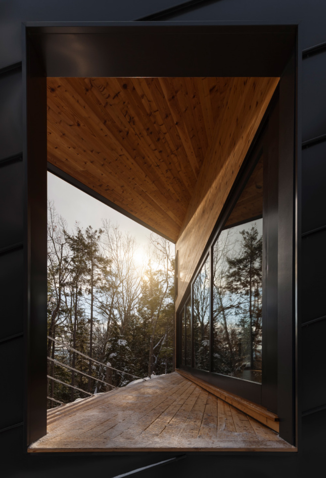 Photo of a timber deck looking out to a forest