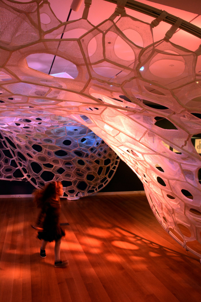 Photo of a freestanding woven cellular arch