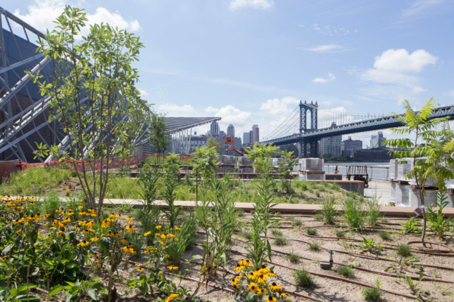 Photo of a waterfront park with planted beds