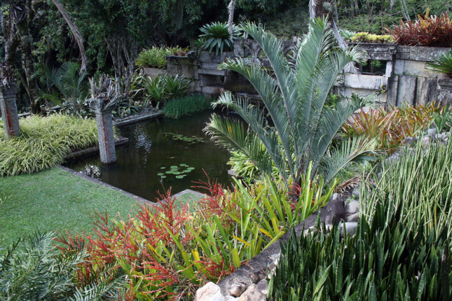 Photo of a Brazilian garden with palm bushes and a pond