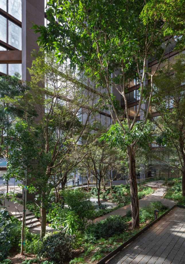 A dense indoor treeline