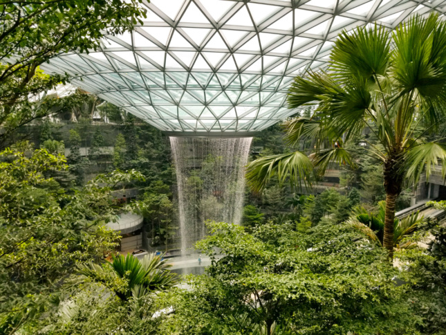 Photo of a towering waterfall amid green plants