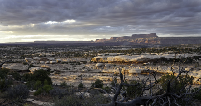 Photo of a desert landscape