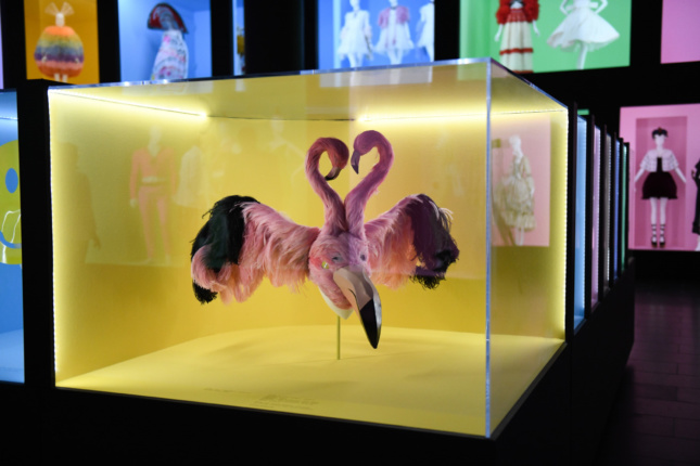 A yellow display case with a mask made of two pink flamingos