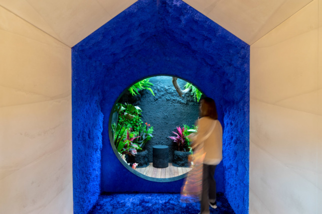 A blue room with a circular cutout leading to a black-clad patio garden