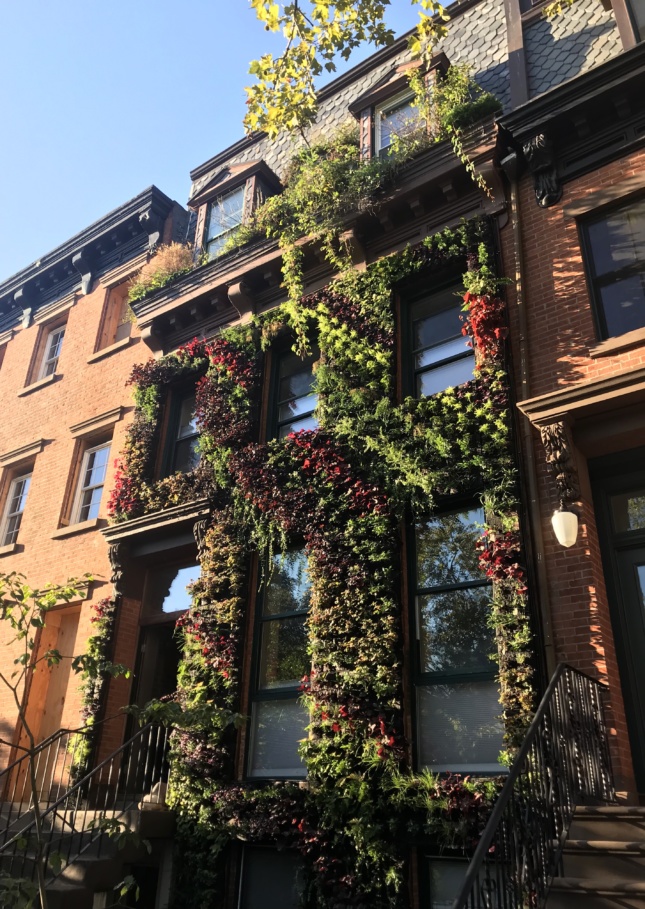 Living Walls Eco Brooklyn