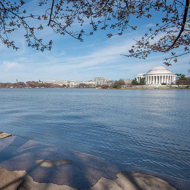 Photo of the National Mall Tidal Basin