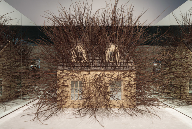 A model house run through with branches, in a mirrored alcove