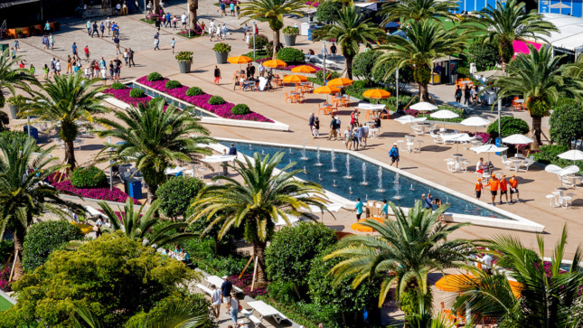 Aerial view of Dolphin Plaza with pink and orange umbrella shades, palm trees, and pink flowers lining water feature