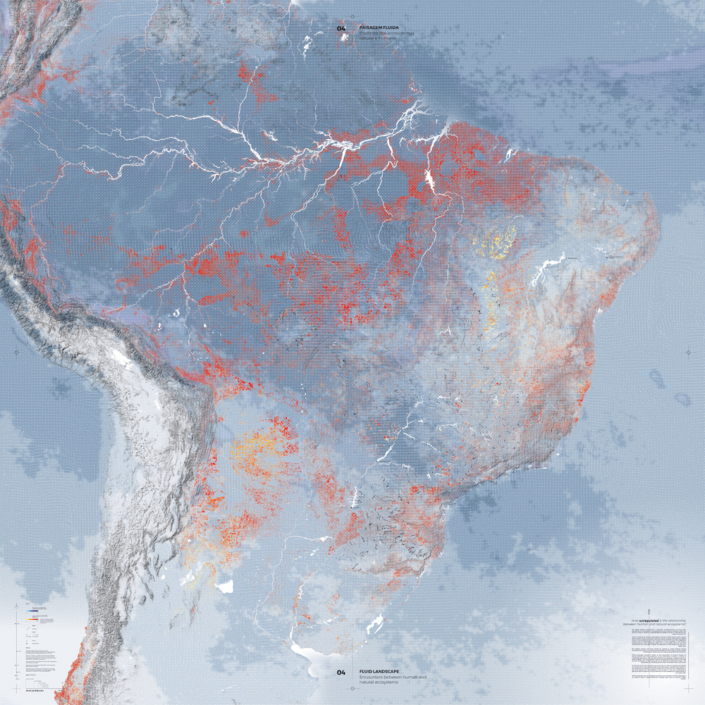 A map of the Amazon's deforestation highlighting regional environmental impact