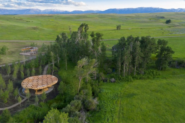 Aerial photo of a timber pavilion in a forest