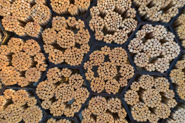 Overhead photo of timber bundled into hexagons