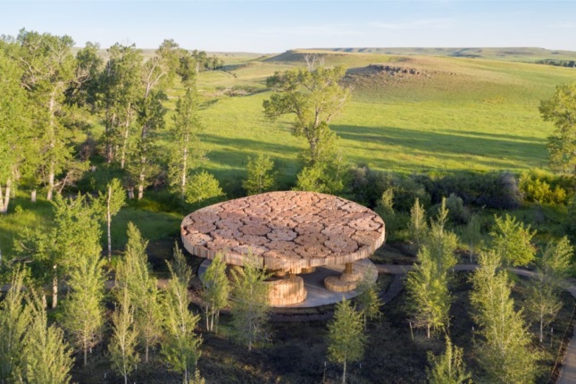 Aerial photo of a hexagonal timber pavilion in a forest