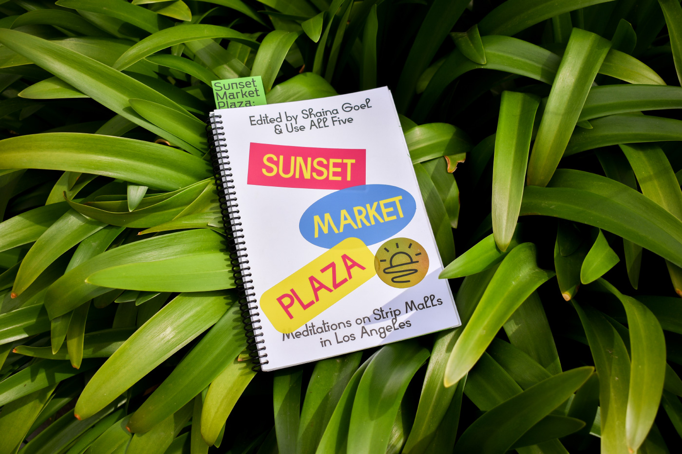 Cover of a book with Sunset Plaza Market on the cover