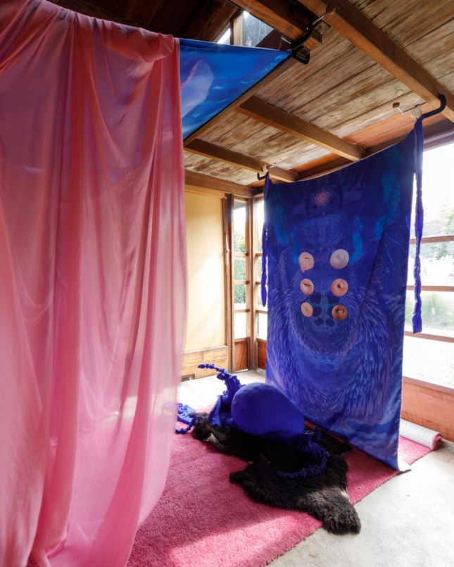 Interior of a gallery space with a blue curtain