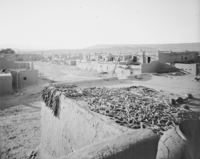 Black and white image of the preservation site