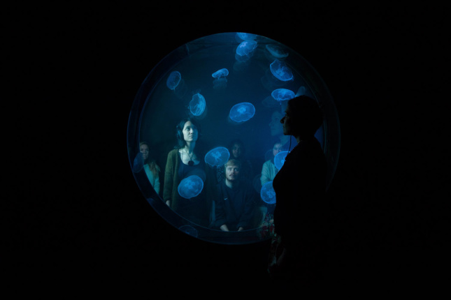 A crowd looking through a circular window into a jellyfish tank