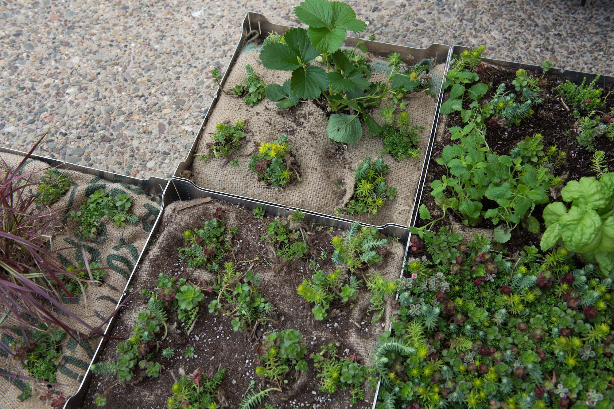 planters and roof gardens shift Fairmount tile planter