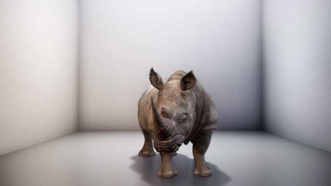 Rendering of a rhino in a perfectly white room